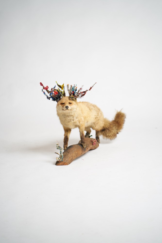 Vom Fuchs und&nbsp;anderen