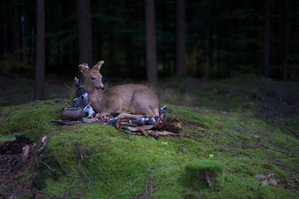 14650444_10211064460546118_1481481318512066525_n